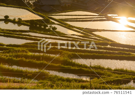 Photographed rice terraces in the evening of Hosokawa, Asuka Village, Nara Prefecture Photographed rice terraces in the evening of Hosokawa, Asuka Village, Nara Prefecture 76511541