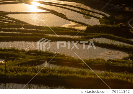 Photographed rice terraces in the evening of Hosokawa, Asuka Village, Nara Prefecture Photographed rice terraces in the evening of Hosokawa, Asuka Village, Nara Prefecture 76511542