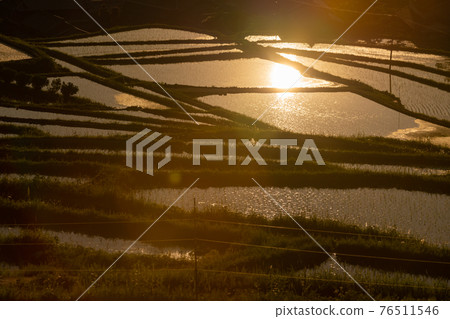 Photographed rice terraces in the evening of Hosokawa, Asuka Village, Nara Prefecture Photographed rice terraces in the evening of Hosokawa, Asuka Village, Nara Prefecture 76511546