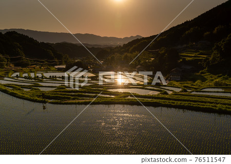 Photographed rice terraces in the evening of Hosokawa, Asuka Village, Nara Prefecture Photographed rice terraces in the evening of Hosokawa, Asuka Village, Nara Prefecture 76511547