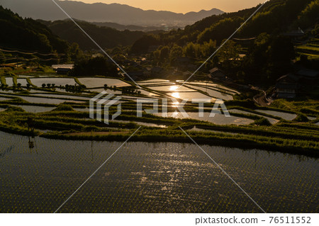 Photographed rice terraces in the evening of Hosokawa, Asuka Village, Nara Prefecture Photographed rice terraces in the evening of Hosokawa, Asuka Village, Nara Prefecture 76511552