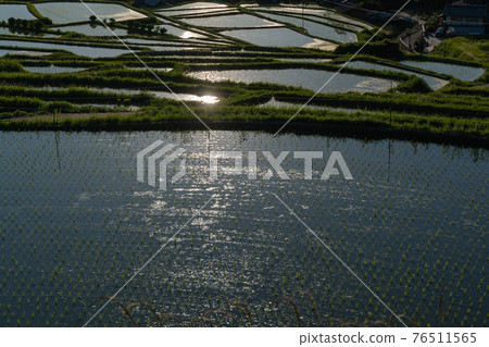 Photographed rice terraces in the evening of Hosokawa, Asuka Village, Nara Prefecture Photographed rice terraces in the evening of Hosokawa, Asuka Village, Nara Prefecture 76511565