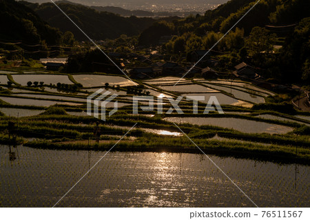 Photographed rice terraces in the evening of Hosokawa, Asuka Village, Nara Prefecture Photographed rice terraces in the evening of Hosokawa, Asuka Village, Nara Prefecture 76511567