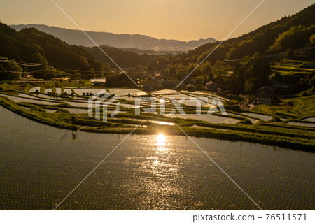 Photographed rice terraces in the evening of Hosokawa, Asuka Village, Nara Prefecture 76511571