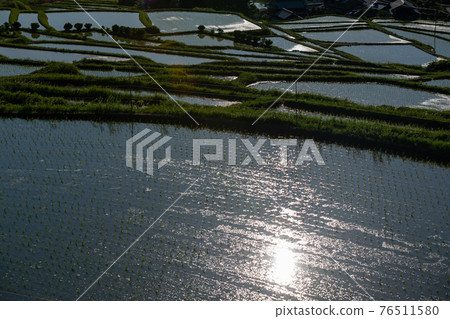 Photographed rice terraces in the evening of Hosokawa, Asuka Village, Nara Prefecture Photographed rice terraces in the evening of Hosokawa, Asuka Village, Nara Prefecture 76511580