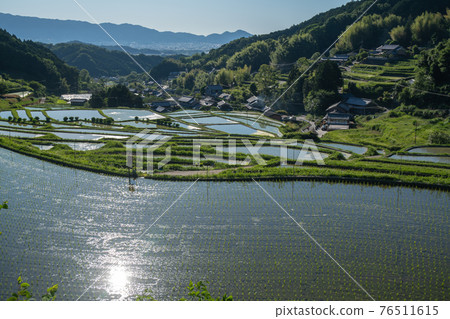 Photographed rice terraces in the evening of Hosokawa, Asuka Village, Nara Prefecture Photographed rice terraces in the evening of Hosokawa, Asuka Village, Nara Prefecture 76511615