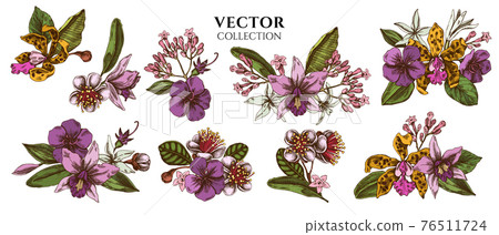 Flower bouquet of colored laelia, feijoa flowers, glory bush, papilio torquatus, cinchona, cattleya Flower bouquet of colored laelia, feijoa flowers, glory bush, papilio torquatus, cinchona, cattleya 76511724