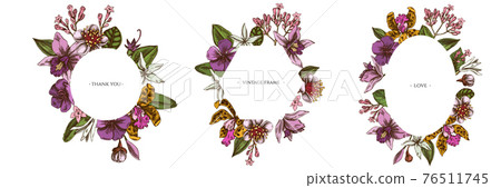 Floral frames with colored laelia, feijoa flowers, glory bush, papilio torquatus, cinchona, cattleya Floral frames with colored laelia, feijoa flowers, glory bush, papilio torquatus, cinchona, cattleya 76511745