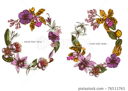 Floral Wreath of colored laelia, feijoa flowers, glory bush, papilio torquatus, cinchona, cattleya Floral Wreath of colored laelia, feijoa flowers, glory bush, papilio torquatus, cinchona, cattleya 76511763