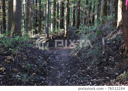 Iwabitsu Castle Iwabitsu Castle 76512284