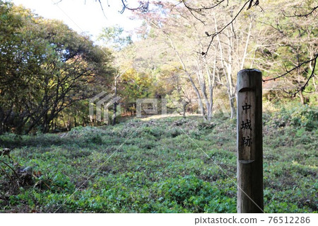 Iwabitsu Castle 76512286