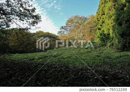 Iwabitsu Castle Iwabitsu Castle 76512289