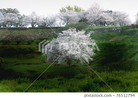原始城堡廢墟 原始城堡廢墟 76512794