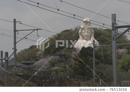 Ofuna Kannon and Sakura 76513038