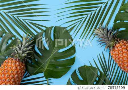 Bromeliad tropical leaves penglai banana background turtle leaf pineapple background パ イ ナ ッ プ ル 76513609