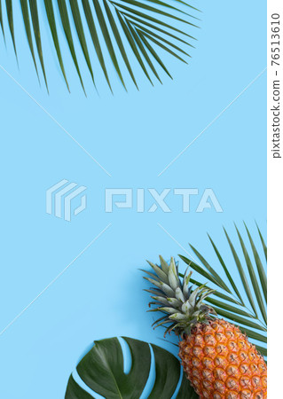 Bromeliad tropical leaves penglai banana background turtle leaf pineapple background パ イ ナ ッ プ ル Bromeliad tropical leaves penglai banana background turtle leaf pineapple background パ イ ナ ッ プ ル 76513610