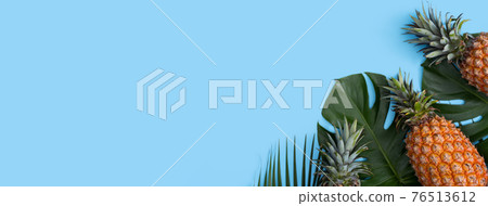 鳳梨 熱帶 葉子 蓬萊蕉 背景 龜背葉 pineapple background パイナップル 76513612