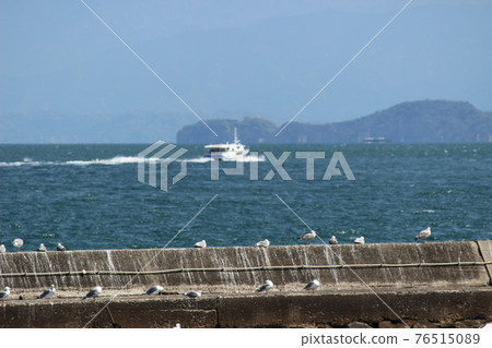 海鷗和船隻在堤岸上一字排開 海鷗和船隻在堤岸上一字排開 76515089
