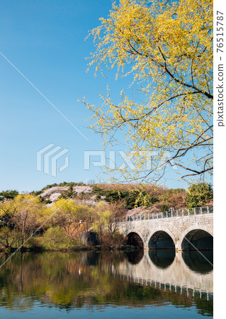 Spring of Seoul grand park in Gwacheon, Korea 76515787