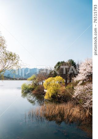 Spring of Seoul grand park in Gwacheon, Korea 76515793