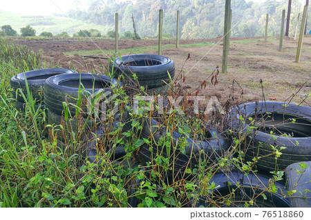 Abandoned tyre traps rain water, ground for mosquito breeding leading to dengue, malaria infected fever Abandoned tyre traps rain water, ground for mosquito breeding leading to dengue, malaria infected fever 76518860