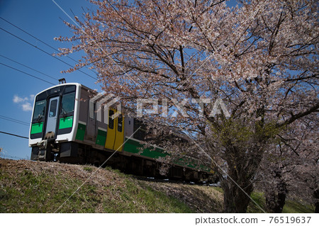 菊田櫻花和盤越齋線死角列車 76519637