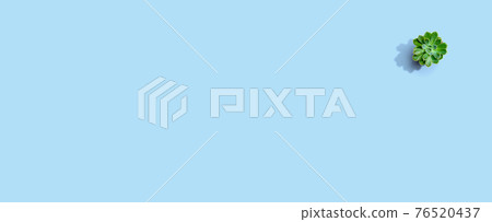 Succulent plant in a pot from above Succulent plant in a pot from above 76520437