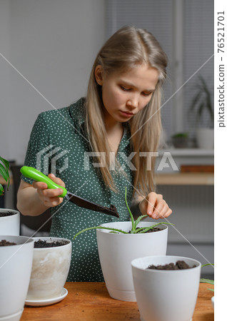 Girl transplanting plants at home in white pots 76521701