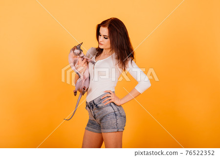 Gorgeous brunette woman smiling, holding Sphynx kitten, posing on grey and yellow studio background. Gorgeous brunette woman smiling, holding Sphynx kitten, posing on grey and yellow studio background. 76522352