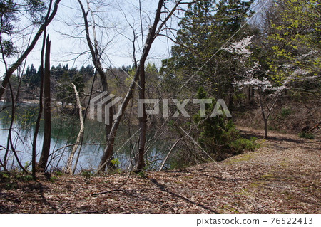 Spring of the snow country Spring of the snow country 76522413