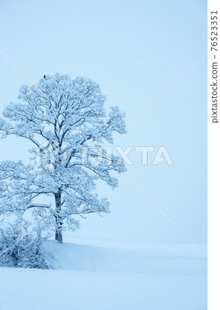 里山雪景（平山高原） 76523351