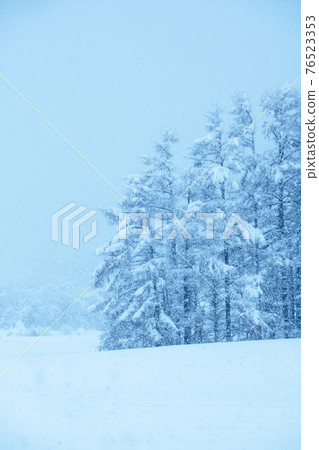 里山雪景（平山高原） 76523353