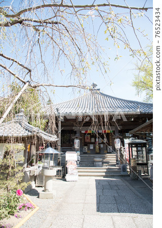 Shikoku Pilgrimage Temple 76523434