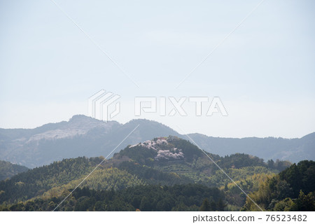 春天的小野城 76523482