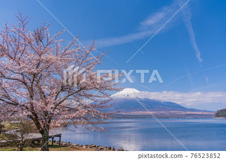 （山梨縣）從“山中湖交流廣場 Kirara”看到的富士山 76523852