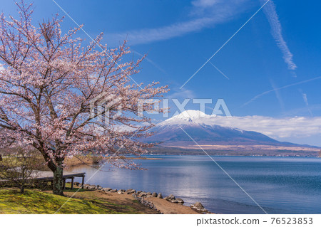 （山梨縣）從“山中湖交流廣場 Kirara”看到的富士山 76523853