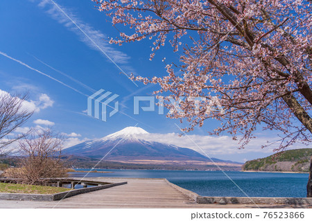 （山梨縣）從“山中湖交流廣場 Kirara”看到的富士山 76523866