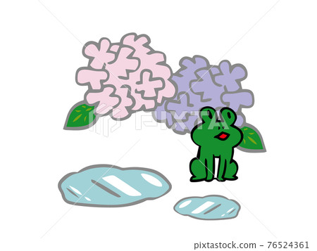 Frog, hydrangea and puddle Frog, hydrangea and puddle 76524361