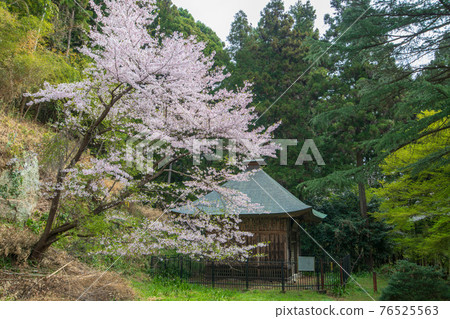 Kaisan Tower and Sakura Jikoji Temple 76525563