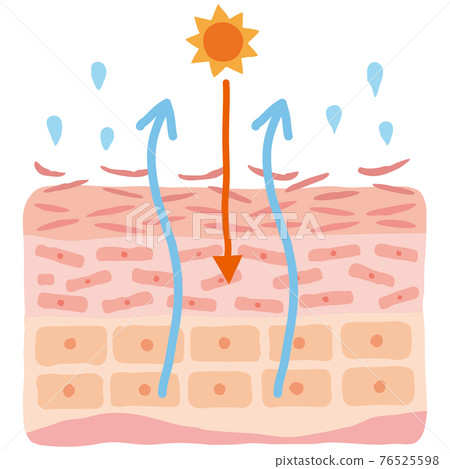 Dry skin UV skin map beauty - Stock Illustration [76525598] - PIXTA