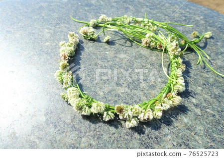White clover wreath corolla wreath 76525723