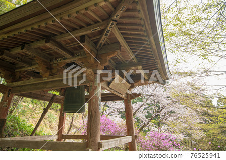 為里山的春天增添色彩的鐘樓地光寺 為里山的春天增添色彩的鐘樓地光寺 76525941