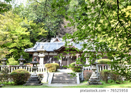 Anashi 生肖神社 76525958