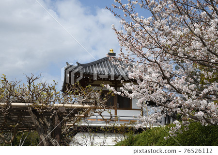 Obitoke-dera(奈良縣奈良市) Obitoke-dera(奈良縣奈良市) 76526112