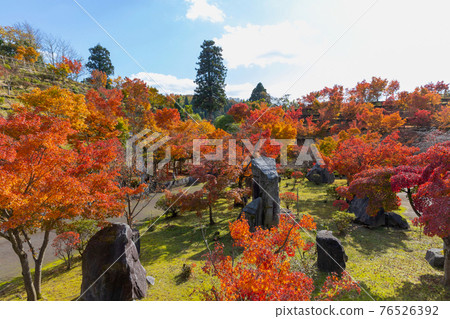 Autumn leaves of Kurikara Fudoji Autumn leaves of Kurikara Fudoji 76526392