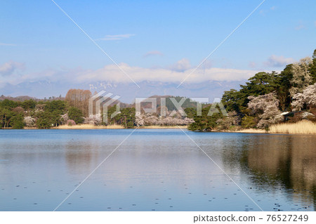 春天南湖公園（福島縣白川市） 76527249