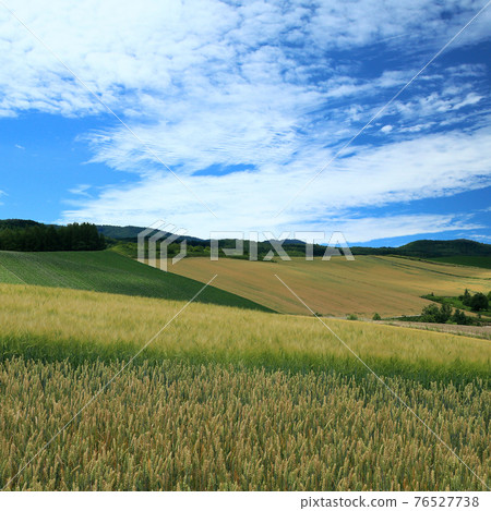Hokkaido Furano Hokkaido Furano 76527738