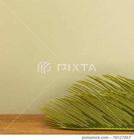 Tropical dry leaf on wooden table. khaki beige background 76527867
