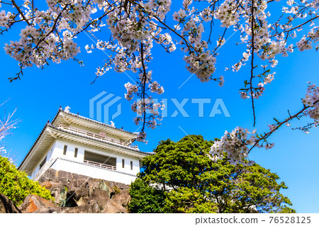 竹崎城展望台的櫻花【佐賀縣富士通區多良町】 76528125