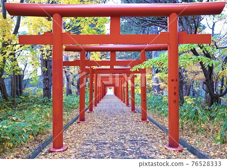 伏見稻荷 伏見稻荷 76528333